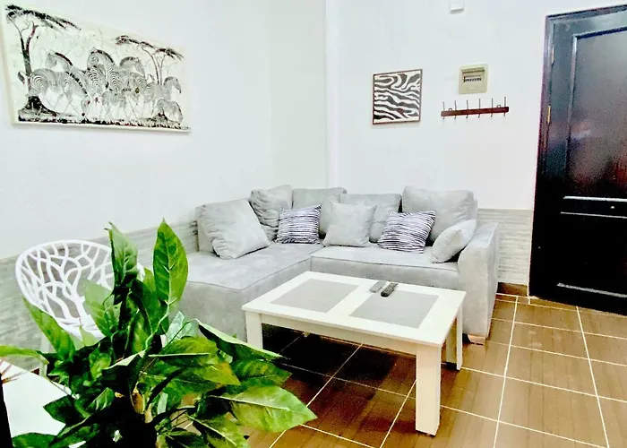 Daire Zebra House Center