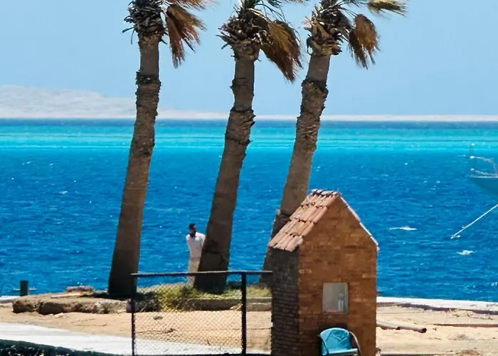 Zebra House Center Daire Hurgada