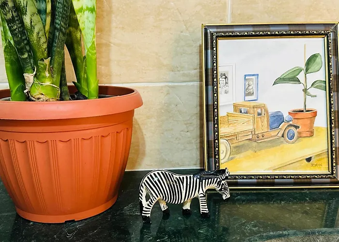 Zebra House Center Hurgada